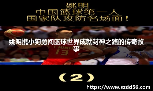 yy易游