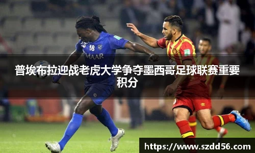 yy易游