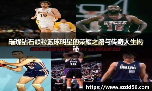 璀璨钻石颗粒篮球明星的荣耀之路与传奇人生揭秘