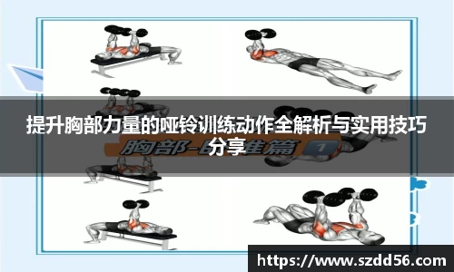 YY体育