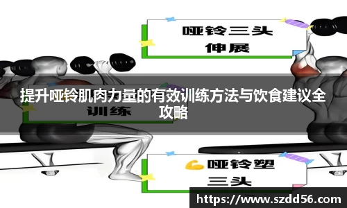 YY体育